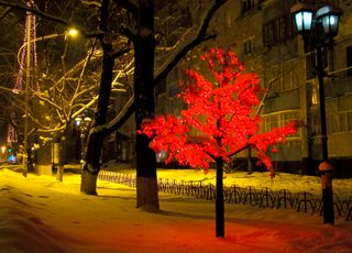 Светящееся дерево "Клен" на главной улице г. Благовещенска